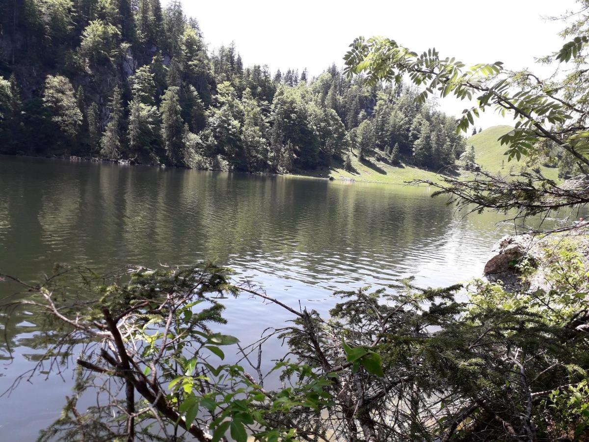 Ferienwohnung Bergzeit Oberwössen Dış mekan fotoğraf
