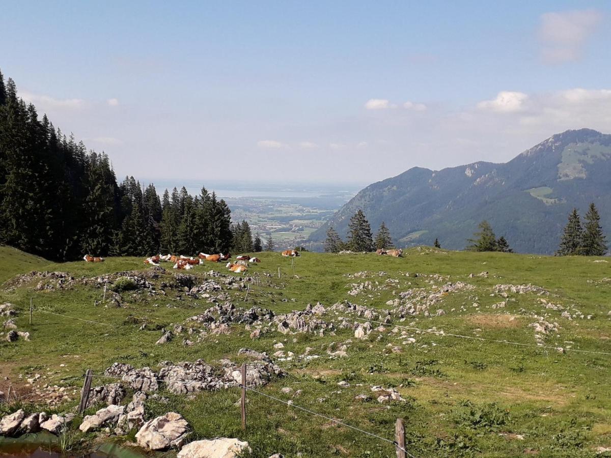 Ferienwohnung Bergzeit Oberwössen Dış mekan fotoğraf